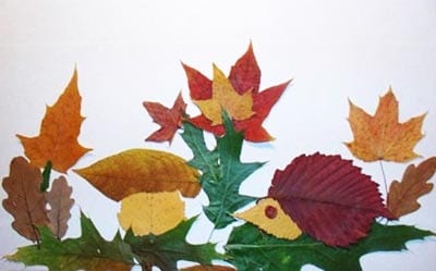 Боядисване на листа с таралеж, гъби и гора