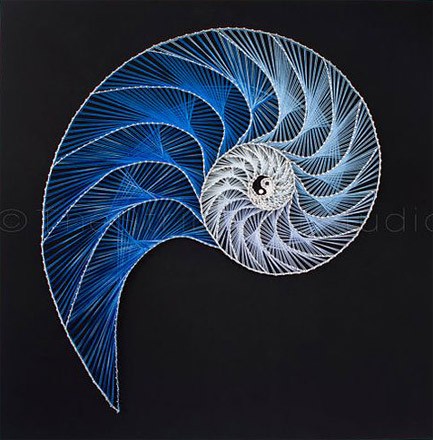 Nautilus