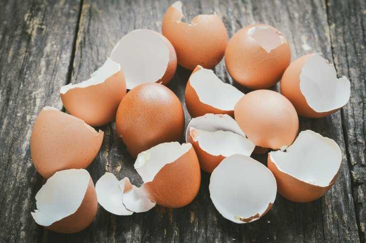 Занаяти от черупки от яйца: фотопримери на най -добрите произведения и описание на тяхното производство