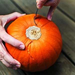 We make holes for the ears. In the pumpkin, which will play the role of a head, you need to make cuts along the edges from the bottom, which will resemble the shape of a crescent. This must be done carefully so that the holes turn out to be thin, so that the finished ears do not stagger in them but hold well.