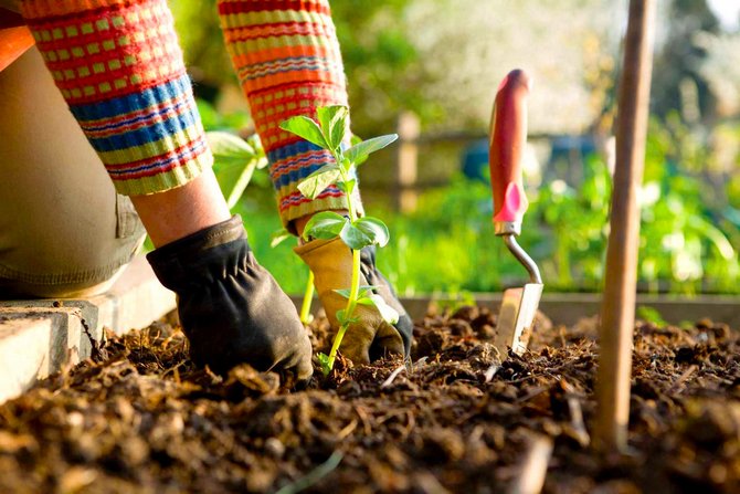 De tuin winterklaar maken