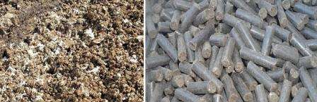 Poultry excrement contains many useful substances that have a beneficial effect on the growth and productivity of vegetable crops.