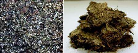 Chicken manure contains a large number of nutrients, including limestone, potassium, phosphorus, calcium, trace elements, as well as auxins, which affect the rapid growth of plants.