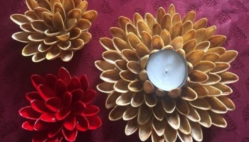 Какво можете да направите от черупки от шам фъстък със собствените си ръце у дома