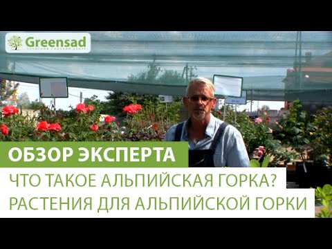 Какво е алпийска пързалка? Какви растения са подходящи за алпийска пързалка