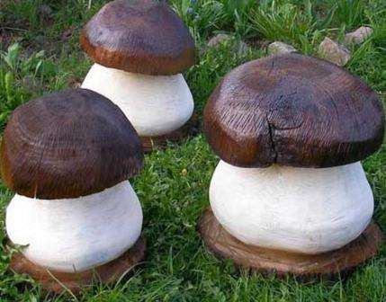 Hemp mushrooms