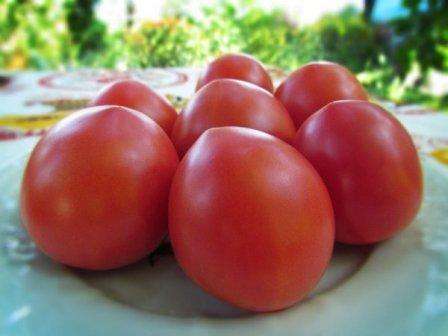 Zgodnie z opisem pomidora Budenovka odmiana ta jest odporna na różne choroby. Jednocześnie zaleca regularną obróbkę rośliny, a także nawożenie krzewów w celu uzyskania maksymalnego plonu. r