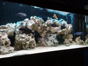 Homemade aquariums - available to everyone: a do-it-yourself aquarium at home: how to make glass, how to glue, video