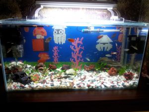 Homemade aquariums - available to everyone: a do-it-yourself aquarium at home: how to make glass, how to glue, video