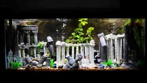 Homemade aquariums - available to everyone: a do-it-yourself aquarium at home: how to make glass, how to glue, video