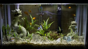 Homemade aquariums - available to everyone: a do-it-yourself aquarium at home: how to make glass, how to glue, video