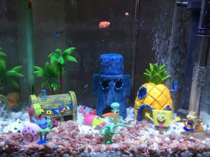 Homemade aquariums - available to everyone: a do-it-yourself aquarium at home: how to make glass, how to glue, video