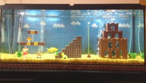 Homemade aquariums - available to everyone: a do-it-yourself aquarium at home: how to make glass, how to glue, video