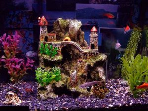 Homemade aquariums - available to everyone: a do-it-yourself aquarium at home: how to make glass, how to glue, video