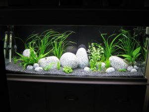 Homemade aquariums - available to everyone: a do-it-yourself aquarium at home: how to make glass, how to glue, video