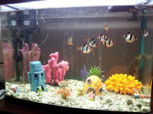 Homemade aquariums - available to everyone: a do-it-yourself aquarium at home: how to make glass, how to glue, video