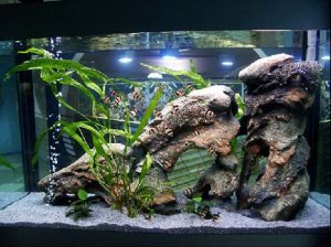 Homemade aquariums - available to everyone: a do-it-yourself aquarium at home: how to make glass, how to glue, video