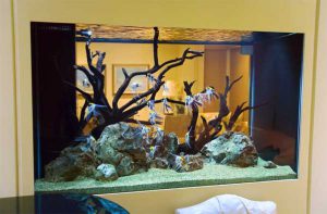 Homemade aquariums - available to everyone: a do-it-yourself aquarium at home: how to make glass, how to glue, video