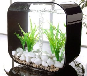 Homemade aquariums - available to everyone: a do-it-yourself aquarium at home: how to make glass, how to glue, video