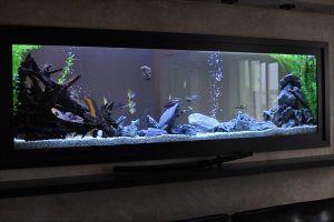 Homemade aquariums - available to everyone: a do-it-yourself aquarium at home: how to make glass, how to glue, video