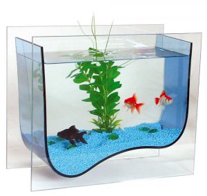 Homemade aquariums - available to everyone: a do-it-yourself aquarium at home: how to make glass, how to glue, video