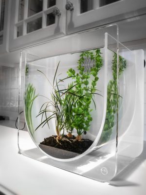 Homemade aquariums - available to everyone: a do-it-yourself aquarium at home: how to make glass, how to glue, video