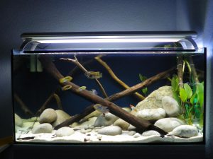 Homemade aquariums - available to everyone: a do-it-yourself aquarium at home: how to make glass, how to glue, video