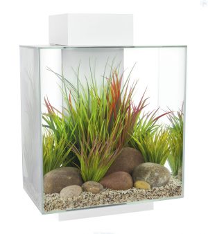 Homemade aquariums - available to everyone: a do-it-yourself aquarium at home: how to make glass, how to glue, video