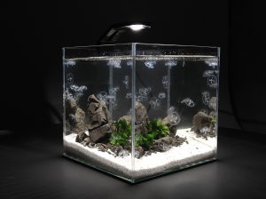 Homemade aquariums - available to everyone: a do-it-yourself aquarium at home: how to make glass, how to glue, video