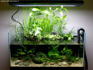 Homemade aquariums - available to everyone: a do-it-yourself aquarium at home: how to make glass, how to glue, video