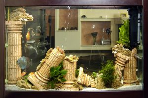 Homemade aquariums - available to everyone: a do-it-yourself aquarium at home: how to make glass, how to glue, video