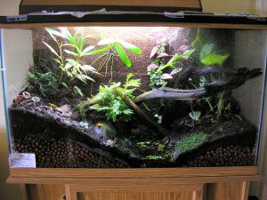 Homemade aquariums - available to everyone: a do-it-yourself aquarium at home: how to make glass, how to glue, video