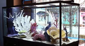 Homemade aquariums - available to everyone: a do-it-yourself aquarium at home: how to make glass, how to glue, video