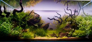 Homemade aquariums - available to everyone: a do-it-yourself aquarium at home: how to make glass, how to glue, video