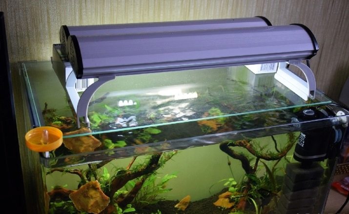 Homemade aquariums - available to everyone: a do-it-yourself aquarium at home: how to make glass, how to glue, video