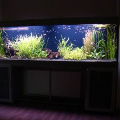 Homemade aquariums - available to everyone: a do-it-yourself aquarium at home: how to make glass, how to glue, video