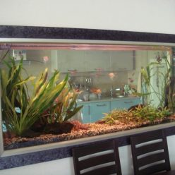 Homemade aquariums - available to everyone: a do-it-yourself aquarium at home: how to make glass, how to glue, video