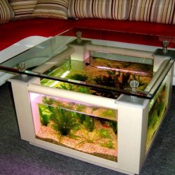 Homemade aquariums - available to everyone: a do-it-yourself aquarium at home: how to make glass, how to glue, video