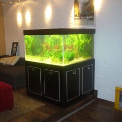 Homemade aquariums - available to everyone: a do-it-yourself aquarium at home: how to make glass, how to glue, video