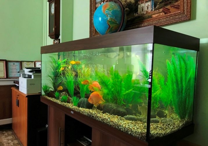 Homemade aquariums - available to everyone: a do-it-yourself aquarium at home: how to make glass, how to glue, video