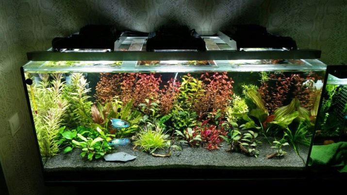 Homemade aquariums - available to everyone: a do-it-yourself aquarium at home: how to make glass, how to glue, video