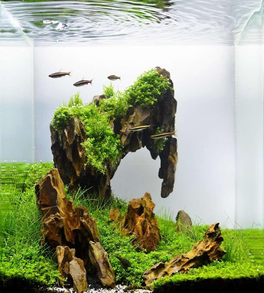 Stone aquarium decor