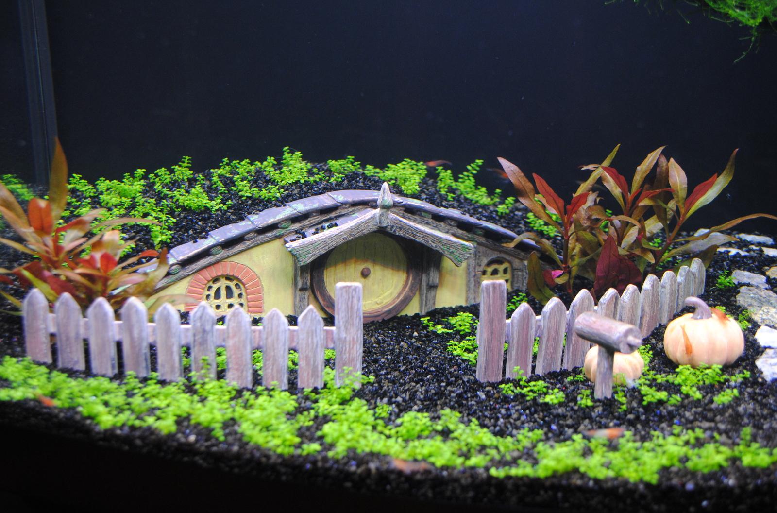 Fabulous aquarium decor