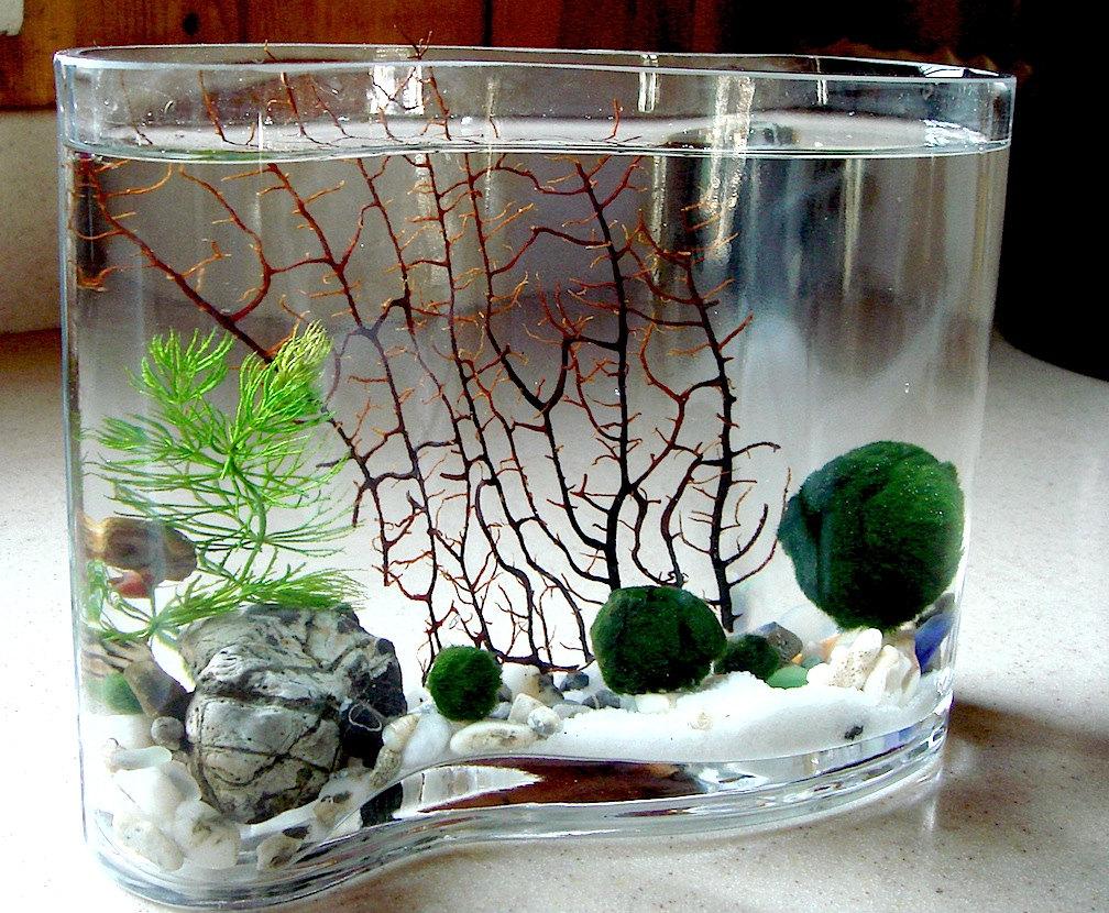 Decor for aquarium in a vase