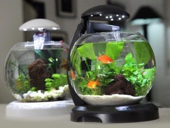 Homemade aquariums - available to everyone: a do-it-yourself aquarium at home: how to make glass, how to glue, video