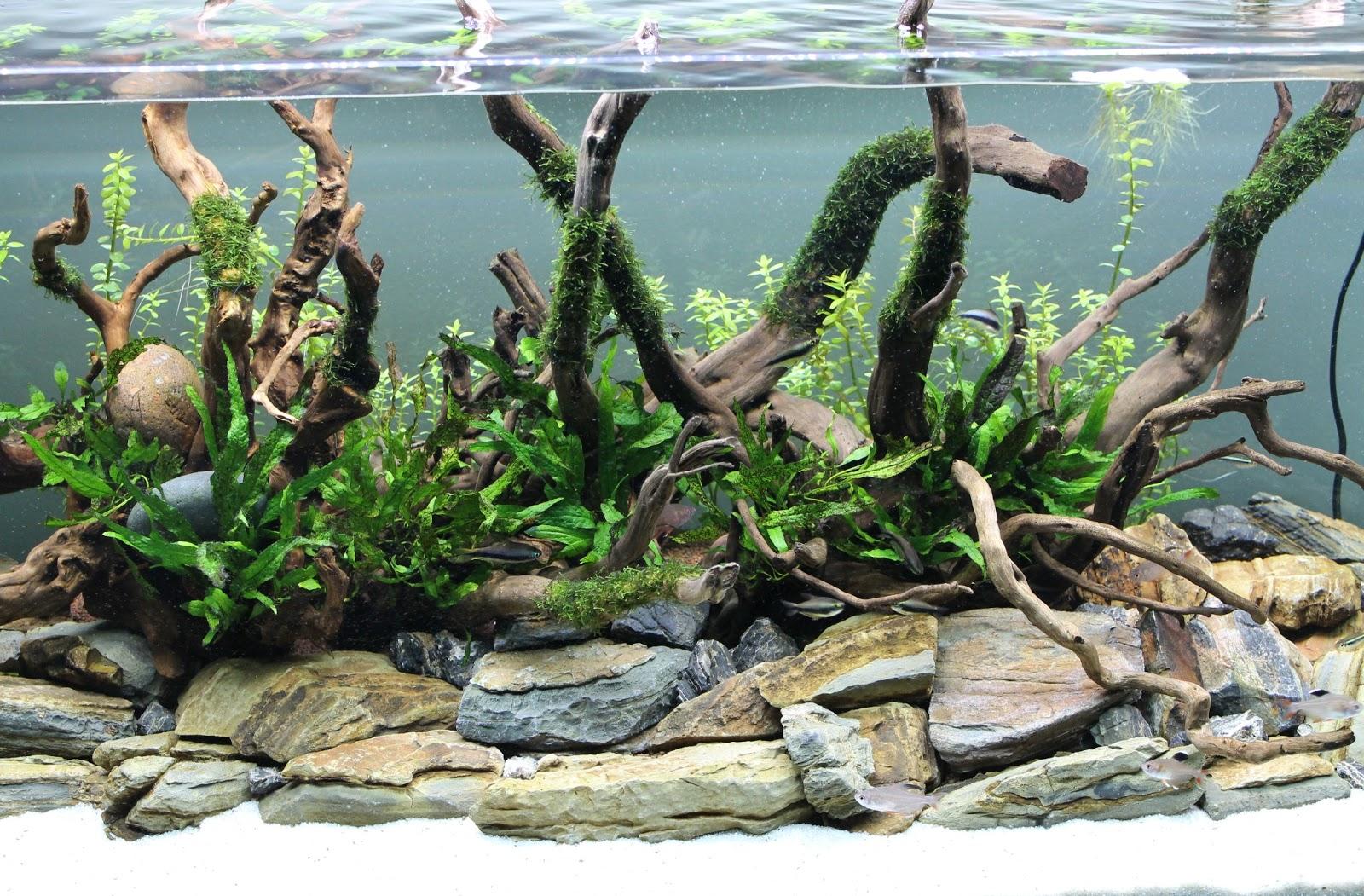 Aquarium decor with branches