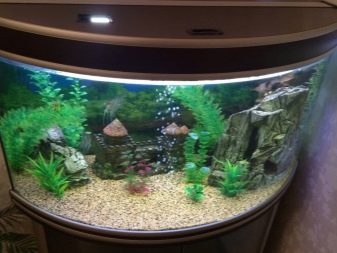 Homemade aquariums - available to everyone: a do-it-yourself aquarium at home: how to make glass, how to glue, video