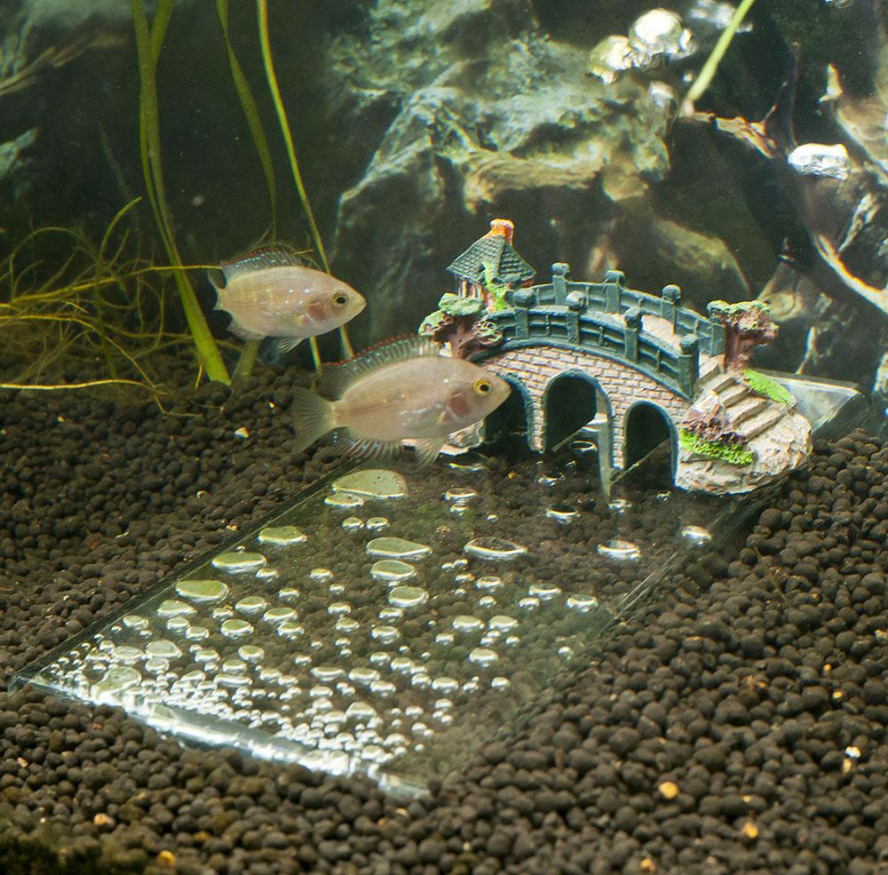 Decorative bridge for aquarium