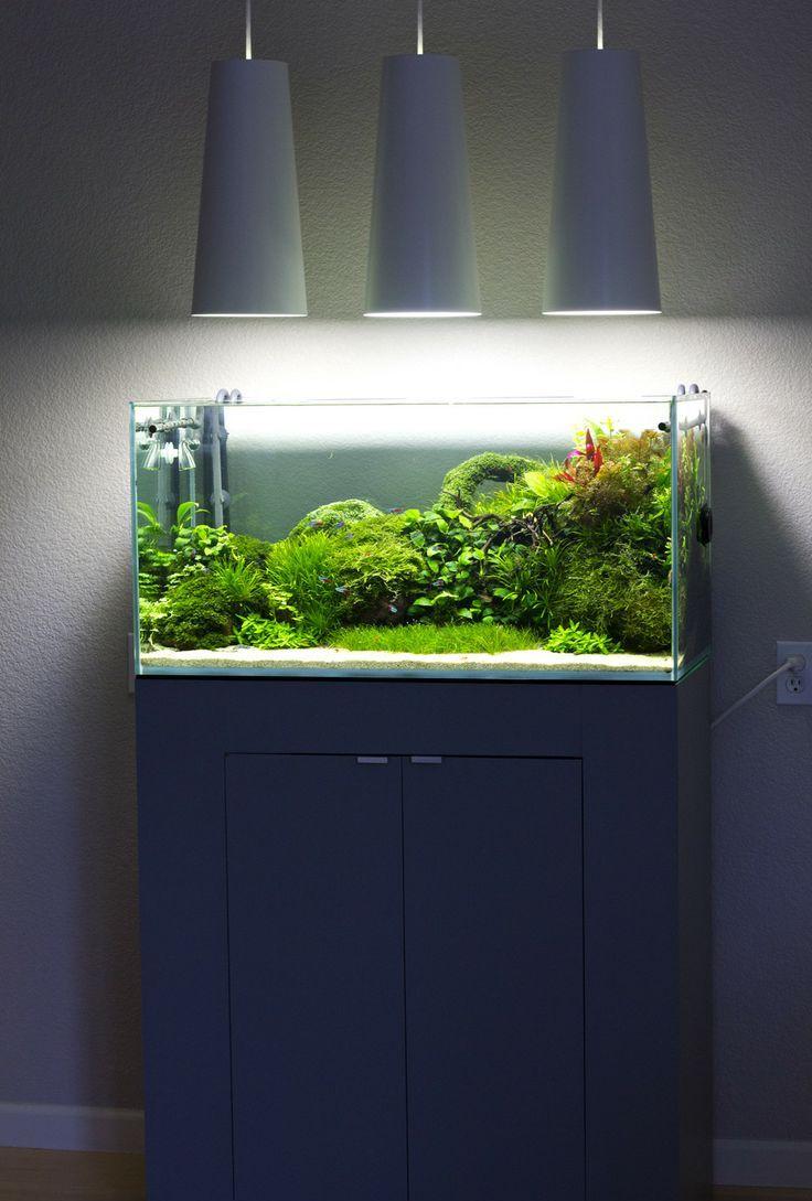 Decorative aquarium lighting