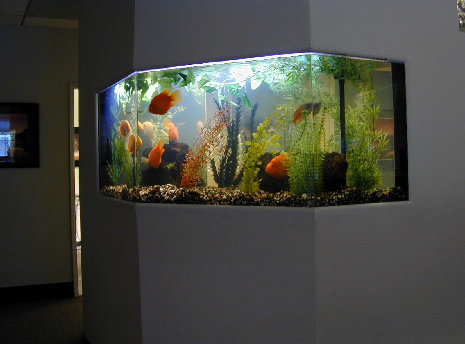 Decor for the aquarium in the hallway